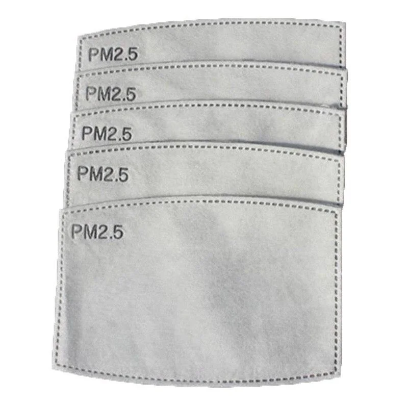 Змінні вкладиші PM 2.5 / KN95 для багаторазових масок (1 шт) , фото 1