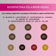 Набір хни Zola Henna Set 2,5г*4 шт, light brown, фото 2