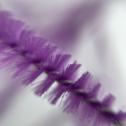 Щіточка для вій нейлонова гліттерна фіолетова (50шт/уп), фото 2