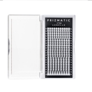 Вії-пучки Sculptor Prizmatic Wings Lunelle 20 ліній Mix C 0.05 8-14 мм, фото 1