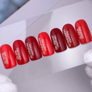 Гель-лак Nails Of The Day Let&#039;s special Jennifer №145 10 мл, фото 2