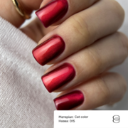 Гель-лак Gemely Cat Color №015 6 мл, фото 2