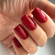 Гель-лак PNB Gel Polish №149 8 мл, фото 3