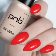 Гель-лак PNB Gel Polish №206 8 мл, фото 3