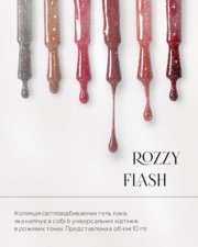 Гель-лак OMG..My Darling Rozzy Flash №4 10 мл, фото 2
