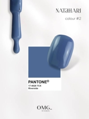 Гель-лак OMG..My Darling Natahari №2 10 мл, фото 2