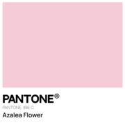 База камуфлююча TUFI profi Cover base №07 Petal ніжно рожева 10 мл, фото 3