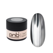 Гель-фарба PNB Gel Paint Silver Fusion 5 мл, фото 1