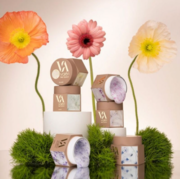 Гель моделюючий Valeri Builder Gel Flower з сухоцвітами №05 15 мл, фото 3