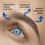 Фарба для брів Platinum 01 Blonde 15 мл УЦІНКА, фото 5