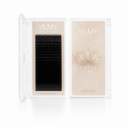 Вії Vilmy Lotus чорні 20 ліній Mix LB 0.07 17 мм, фото 1
