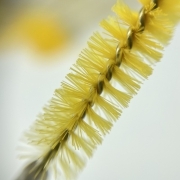 Щіточка для вій нейлонова гліттерна жовта (50шт/уп), фото 2